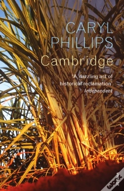 Capa do artigo Cambridge