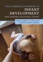 Cambridge Handbook Of Infant Development - Preview