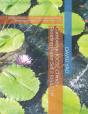Cambridge Igcse Chinese Reading Paper Set 2 (0547-21) - Preview