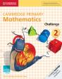 Cambridge Primary Mathematics Challenge 2 - Preview