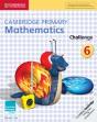 Cambridge Primary Mathematics Challenge 6 - Preview