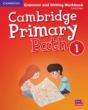 Cambridge Primary Path Level 1 Grammar And Writing Workbook - Preview
