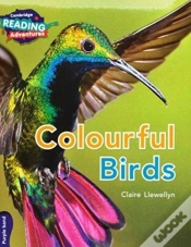 Capa do artigo Cambridge Reading Adventures