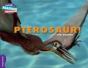 Cambridge Reading Adventures Pterosaur! Purple Band - Preview