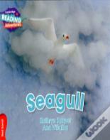 Cambridge Reading Adventures Seagull Red Band
