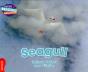 Cambridge Reading Adventures Seagull Red Band - Preview