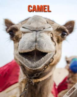 Capa do artigo Camel