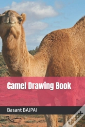 Capa do artigo Camel Drawing Book