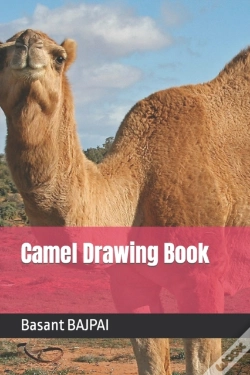 Capa do artigo Camel Drawing Book