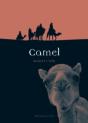 Camel - Preview