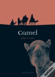 Capa do artigo Camel