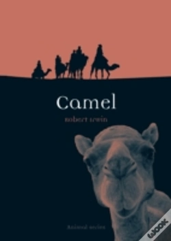 Capa do artigo Camel