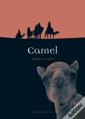 Capa do artigo Camel