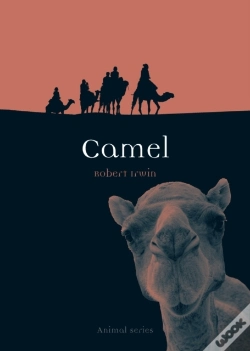 Capa do artigo Camel