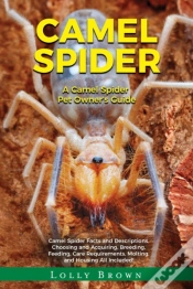 Capa do artigo Camel Spider