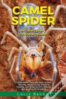 Camel Spider