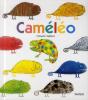 Cameleo - Preview