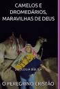 Camelos E Dromedários, Maravilhas De Deus - Preview