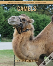 Capa do artigo Camels