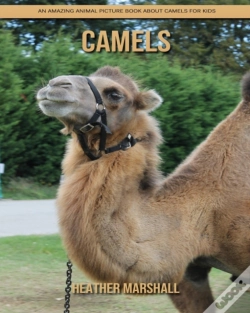 Capa do artigo Camels