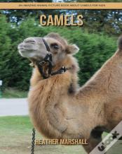 Camels