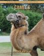 Camels - Preview