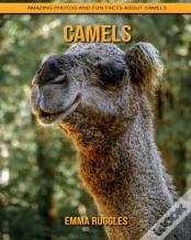 Camels