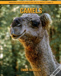 Capa do artigo Camels