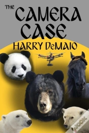Capa do artigo Camera Case