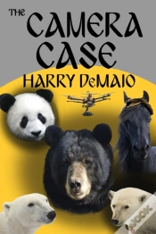 Capa do artigo Camera Case