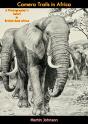 Camera Trails In Africa - Preview