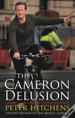 Capa do artigo Cameron Delusion