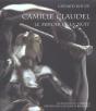 Camille Claudel ; Le Miroir Et La Nuit - Preview