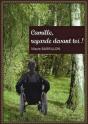 Camille, Regarde Devant Toi ! - Preview