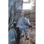 Caminando Hacia La Santidad - Preview