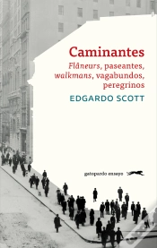 Capa do artigo Caminantes