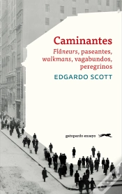 Capa do artigo Caminantes