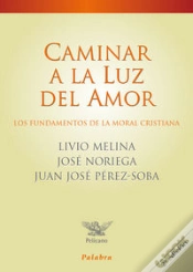 Capa do artigo Caminar A La Luz Del Amor