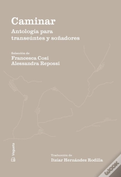 Capa do artigo Caminar