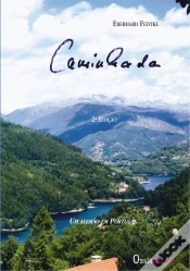 Capa do artigo Caminhada