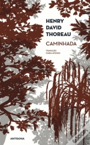 Capa do artigo Caminhada
