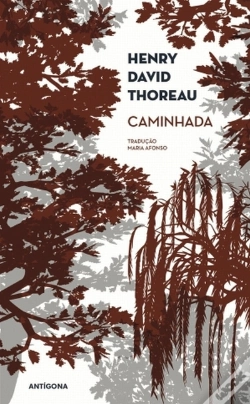 Capa do artigo Caminhada
