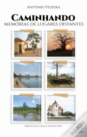 Capa do artigo Caminhando