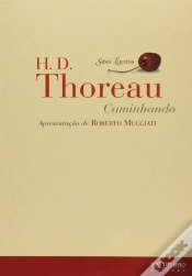 Capa do artigo Caminhando
