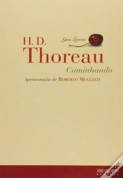 Capa do artigo Caminhando