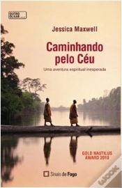 Capa do artigo Caminhando pelo Céu
