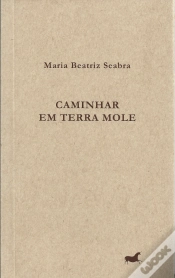 Capa do artigo Caminhar em Terra Mole