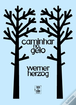 Capa do artigo Caminhar no Gelo