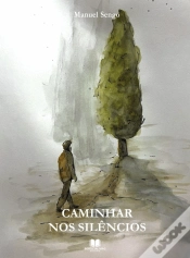 Capa do artigo Caminhar nos Silêncios