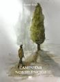 Caminhar nos Silêncios - Preview